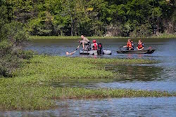 Could be a pond. Does have gators. (Image: Michael Minasi, The Courier)