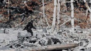 bigfoot-frame-300x169.jpg